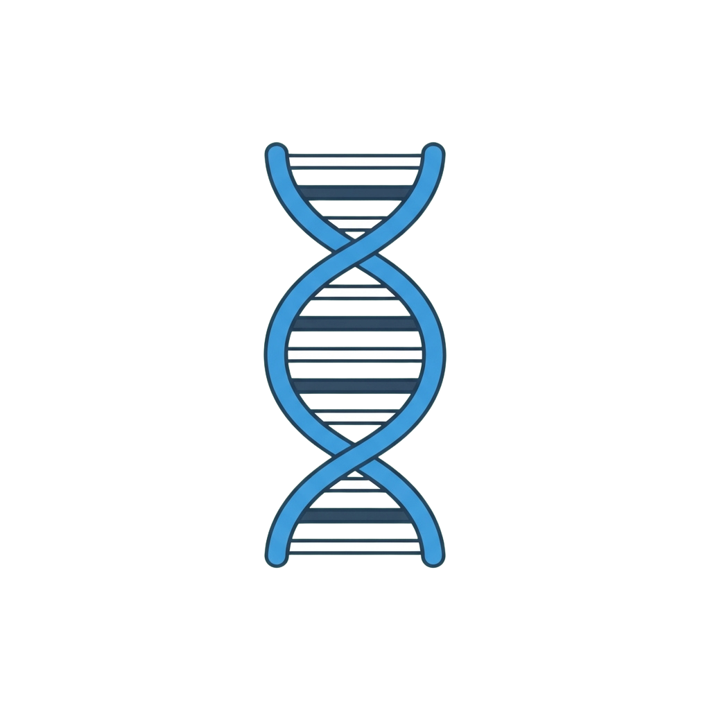 Illustration of a DNA double helix with blue and white stripes representing genetic code