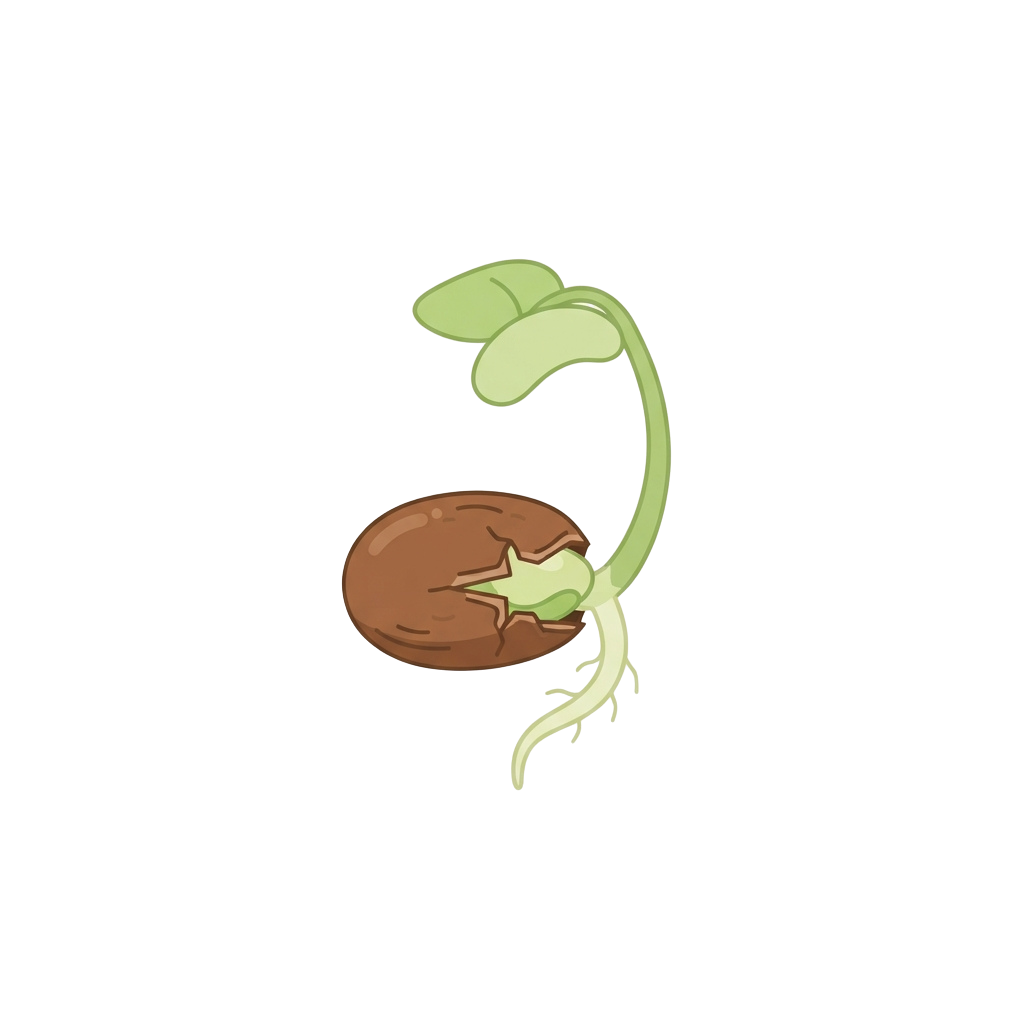 Illustration of a seed sprouting with roots growing downward and a green shoot emerging upward from the soil