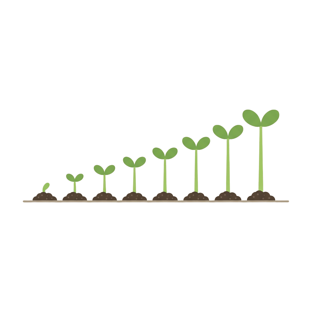 Illustration showing a seedling growing through six stages from sprout to mature plant with two leaves