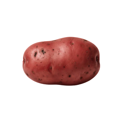 A single red potato with rough skin and small dark spots against a black background