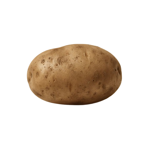 A single whole russet potato with rough, brown skin and small dimples.