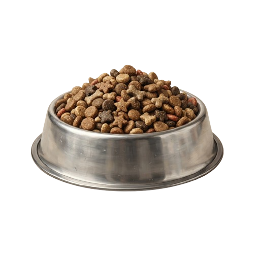 A stainless steel dog bowl filled with brown dry dog kibble