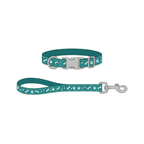 A teal dog collar and matching leash with white paw print patterns and a silver buckle and clip