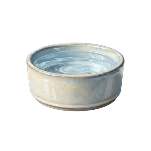 A light blue ceramic bowl with a speckled rim, used for holding water.