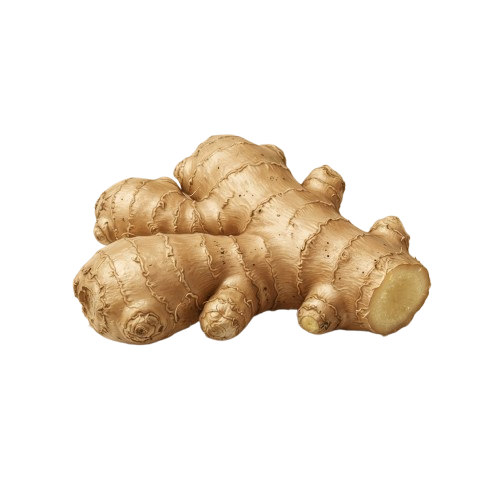 A close-up image of a fresh, knobby ginger root with a light brown, wrinkled skin.
