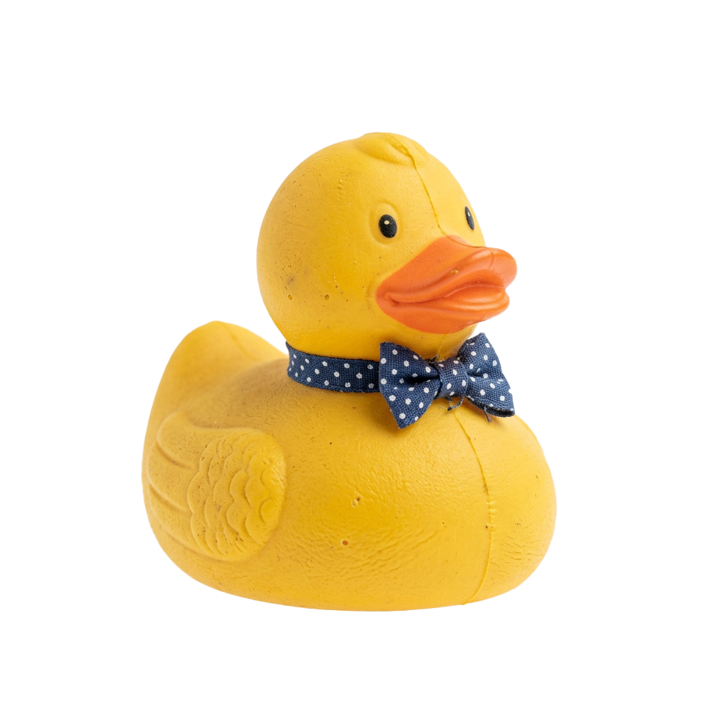 A cheerful yellow rubber duck wearing a navy blue bow tie with white polka dots