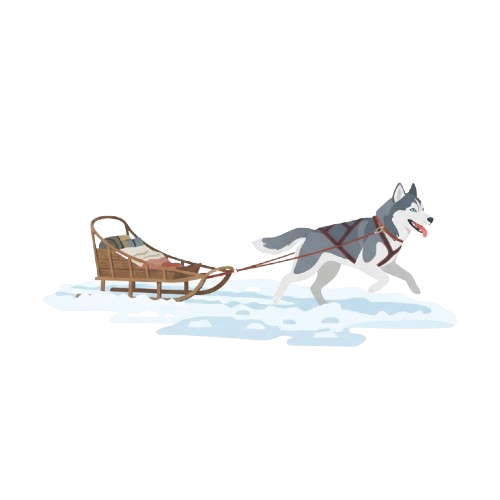A Siberian Husky dog pulling a small wooden sled over snow-covered ground