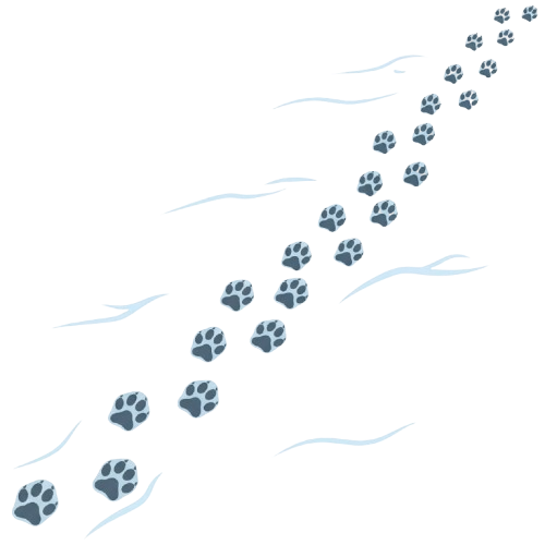 Hexagonal shapes arranged in a diagonal line following wavy, abstract black lines on a dark background