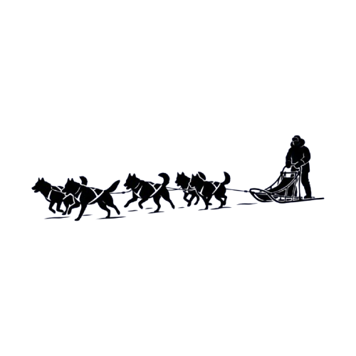 A stylized blue line drawing of a camel caravan traveling across a desert landscape.