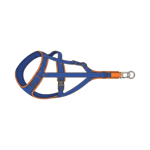 A blue and orange dog harness with a metal leash ring attachment laid on a black background