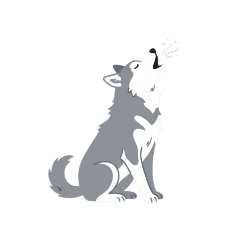 A gray wolf sitting and howling towards the sky with stars above its head.