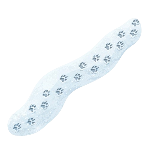 A white bath mat with multiple grey paw print patterns on a dark background