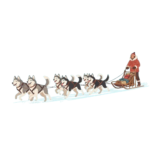 A person riding a sled pulled by a team of nine huskies on snow.