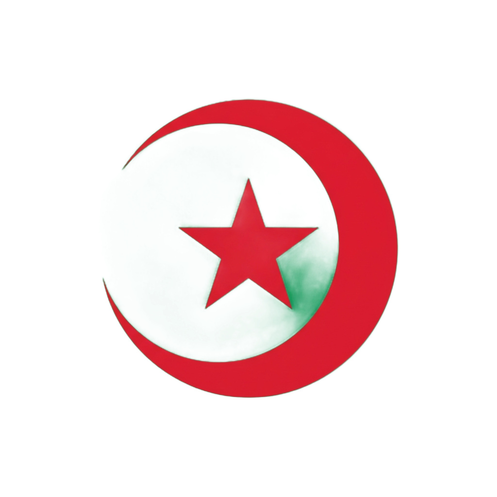 Flag with green map outline, red border, and a red star on a black background