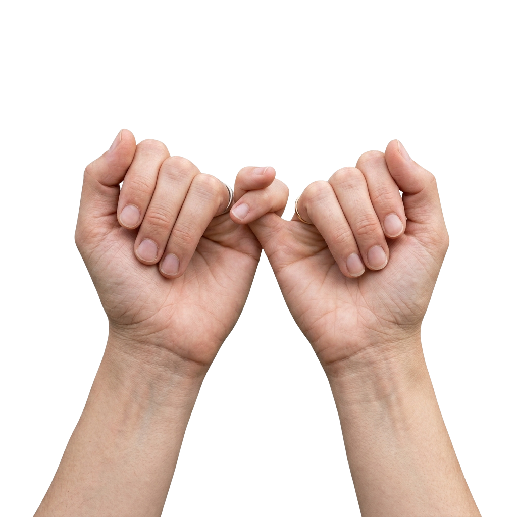 Two hands forming a peace sign gesture with fingers and thumbs touching.