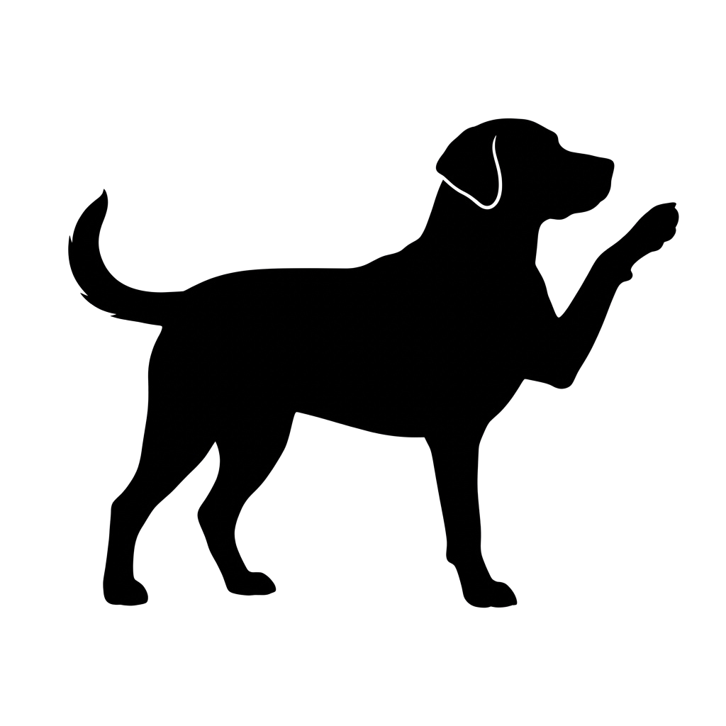 Solid black background image