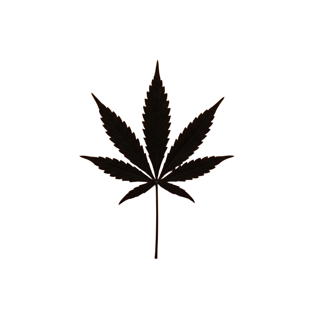 A detailed outline of a cannabis leaf against a dark background