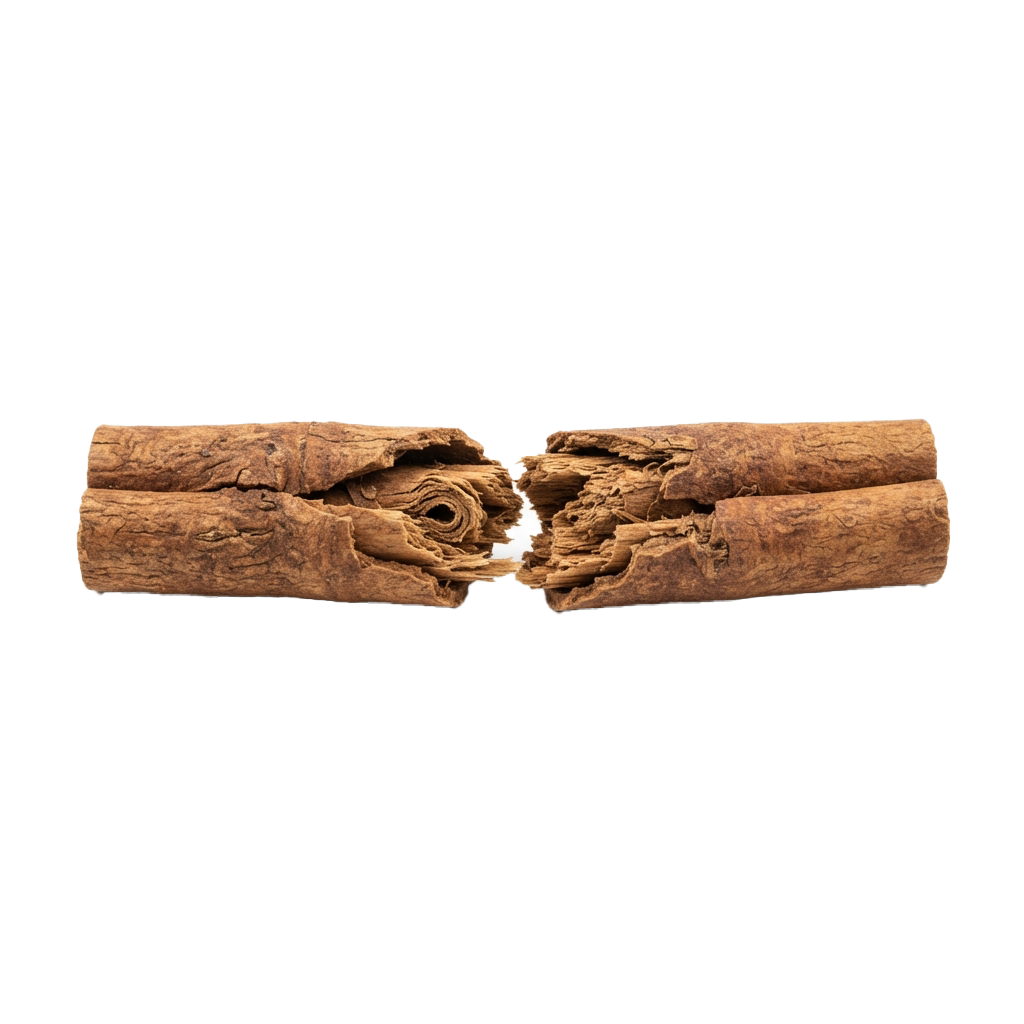 Two broken cylindrical wooden objects with intricate carvings and natural textures