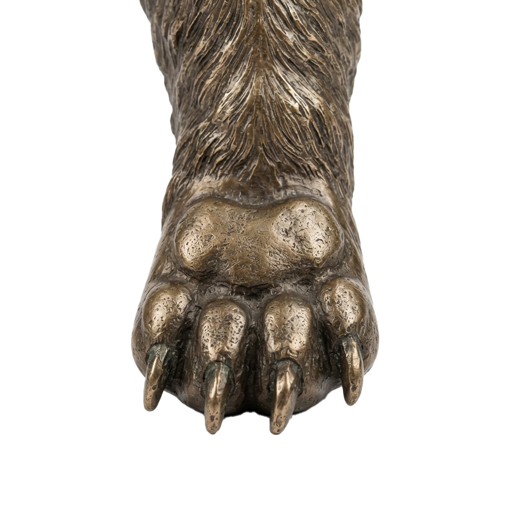 A detailed close-up of a bear paw showing thick fur, large pads, and sharp claws.