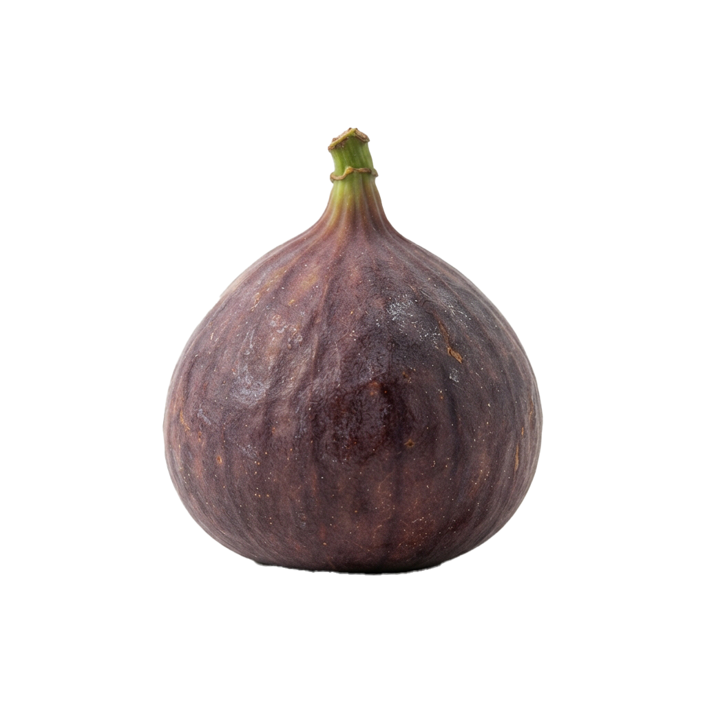 A close-up image of a single ripe purple fig with a green stem against a black background