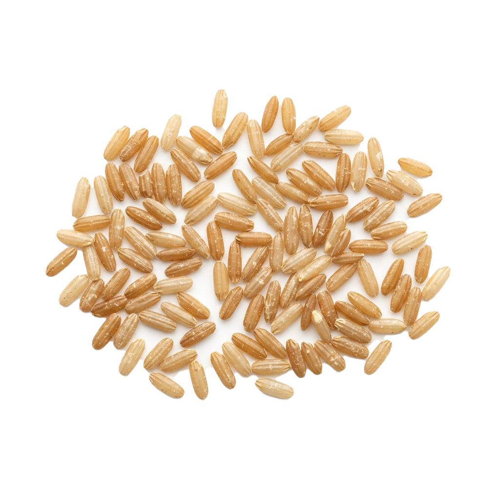 Close-up image of whole brown rice grains scattered on a white background