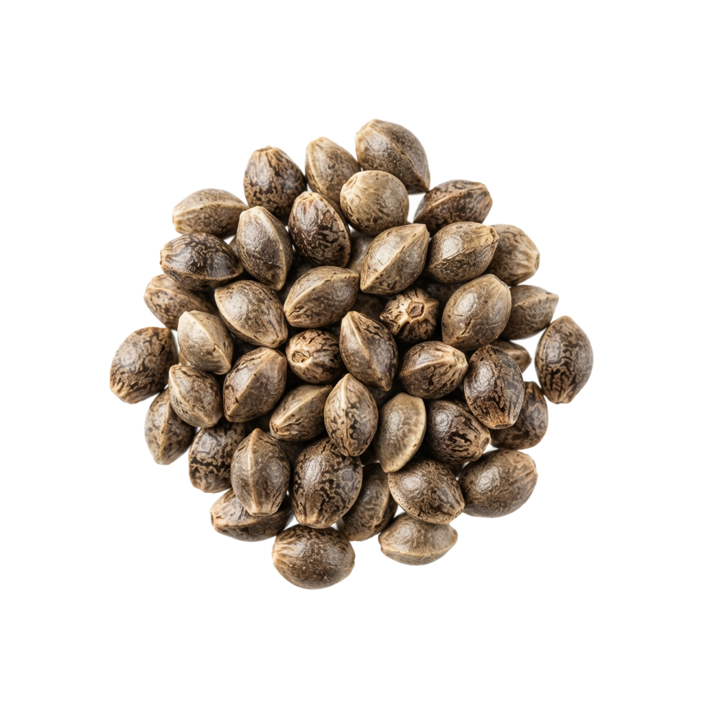 Close-up of a cluster of small, oval-shaped hemp seeds with textured surfaces