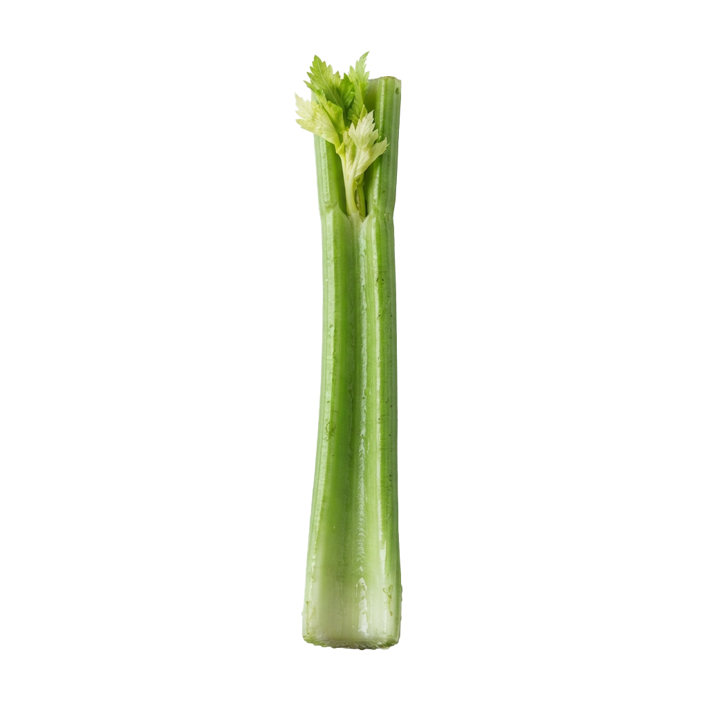 A single fresh celery stalk with bright green leaves and a pale green base