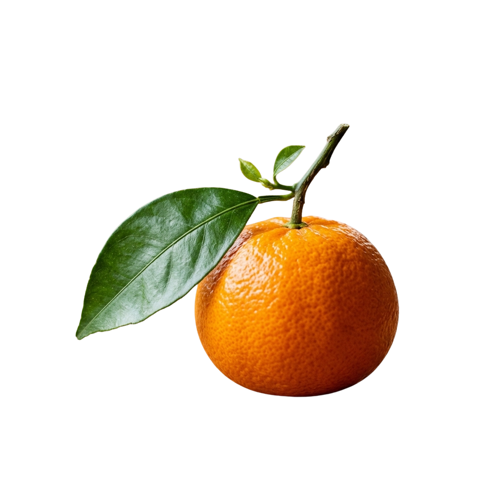 A bright orange with a small green leaf attached, set against a black background