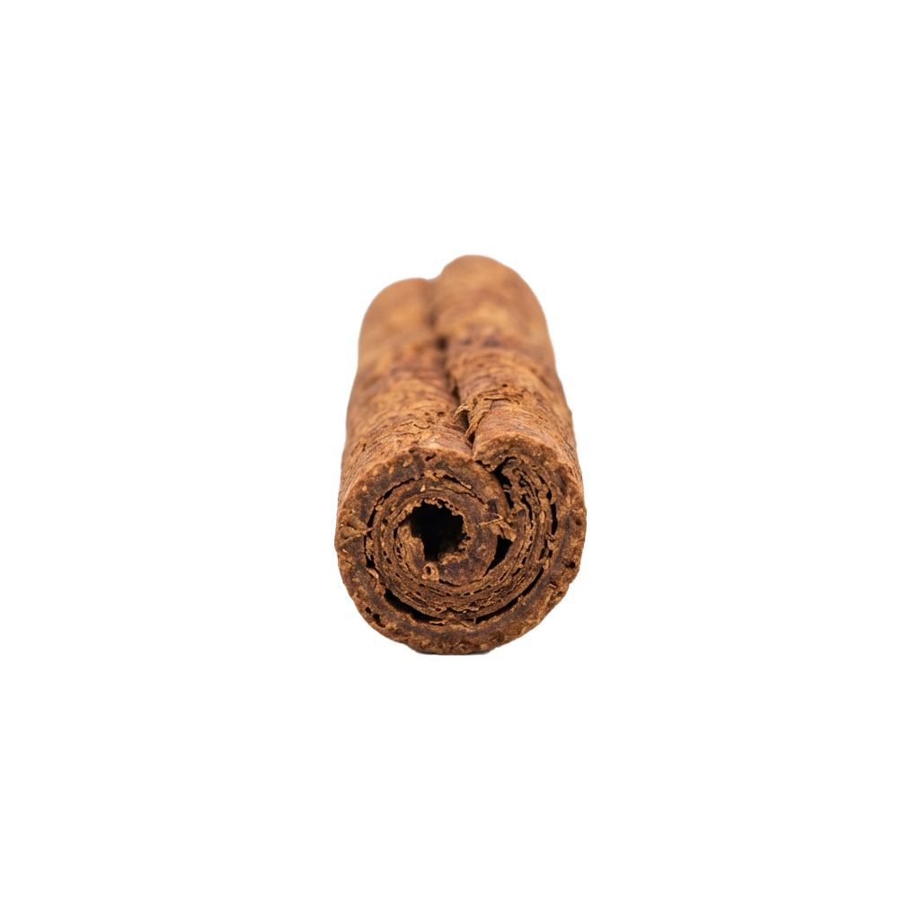 A close-up of a single rolled dried cinnamon stick with a rough, brown bark texture.