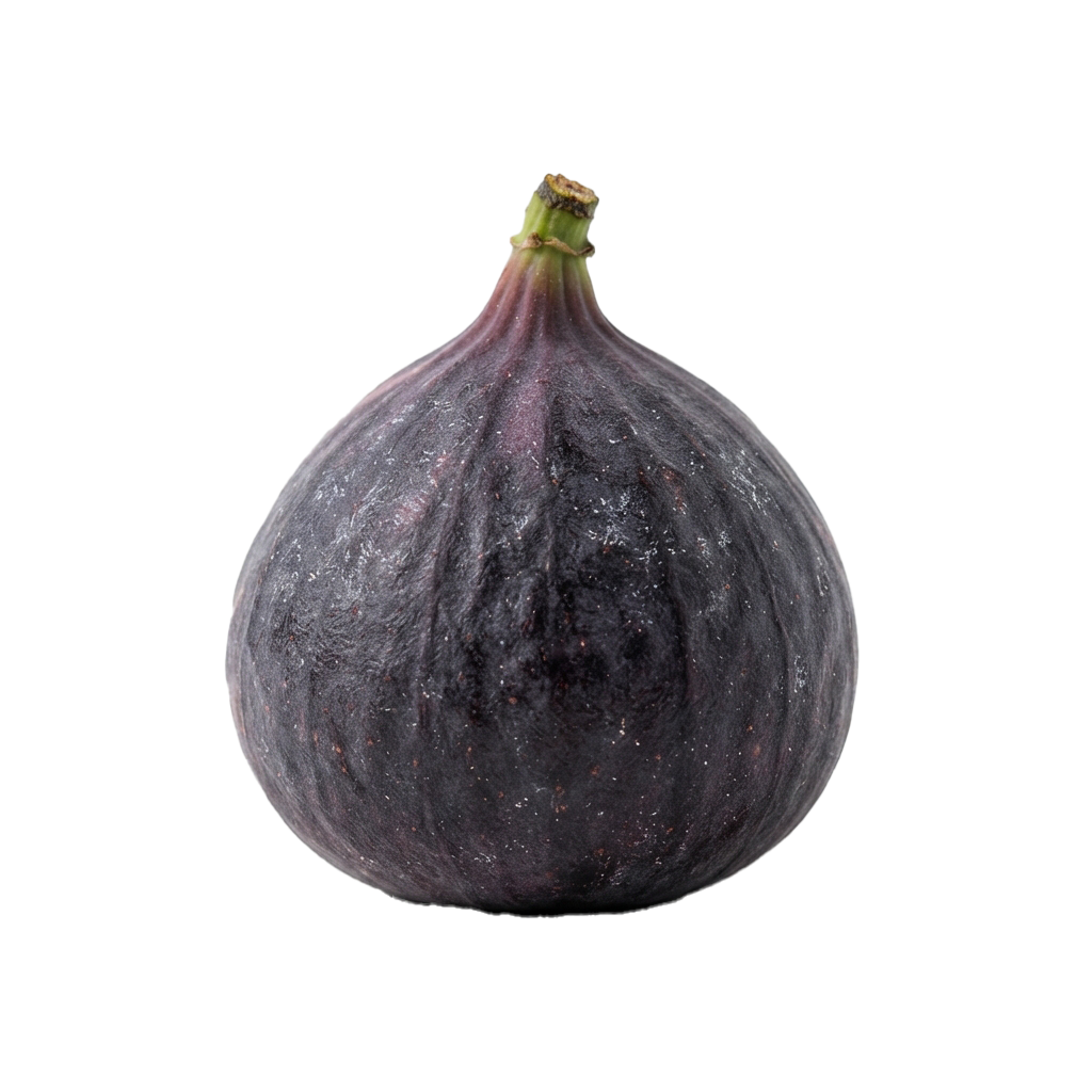 A close-up image of a single fresh purple fig with a green stem on a black background