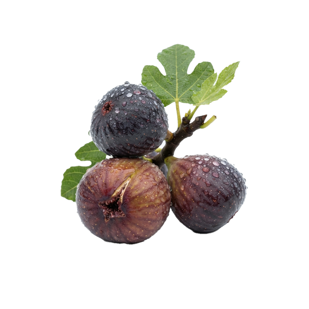 Three fresh figs with green leaves and dew drops on a black background