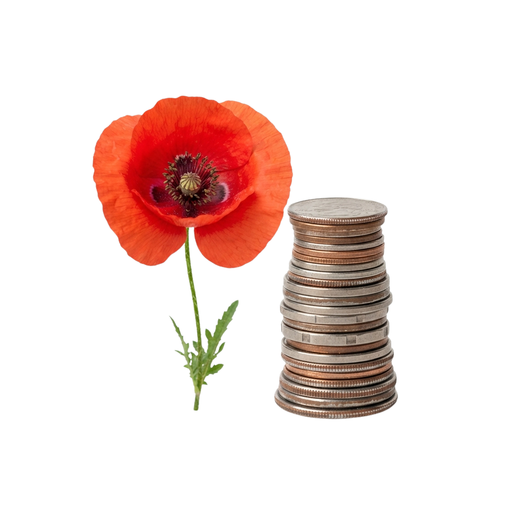 A vibrant red poppy flower next to a stack of coins on a black background