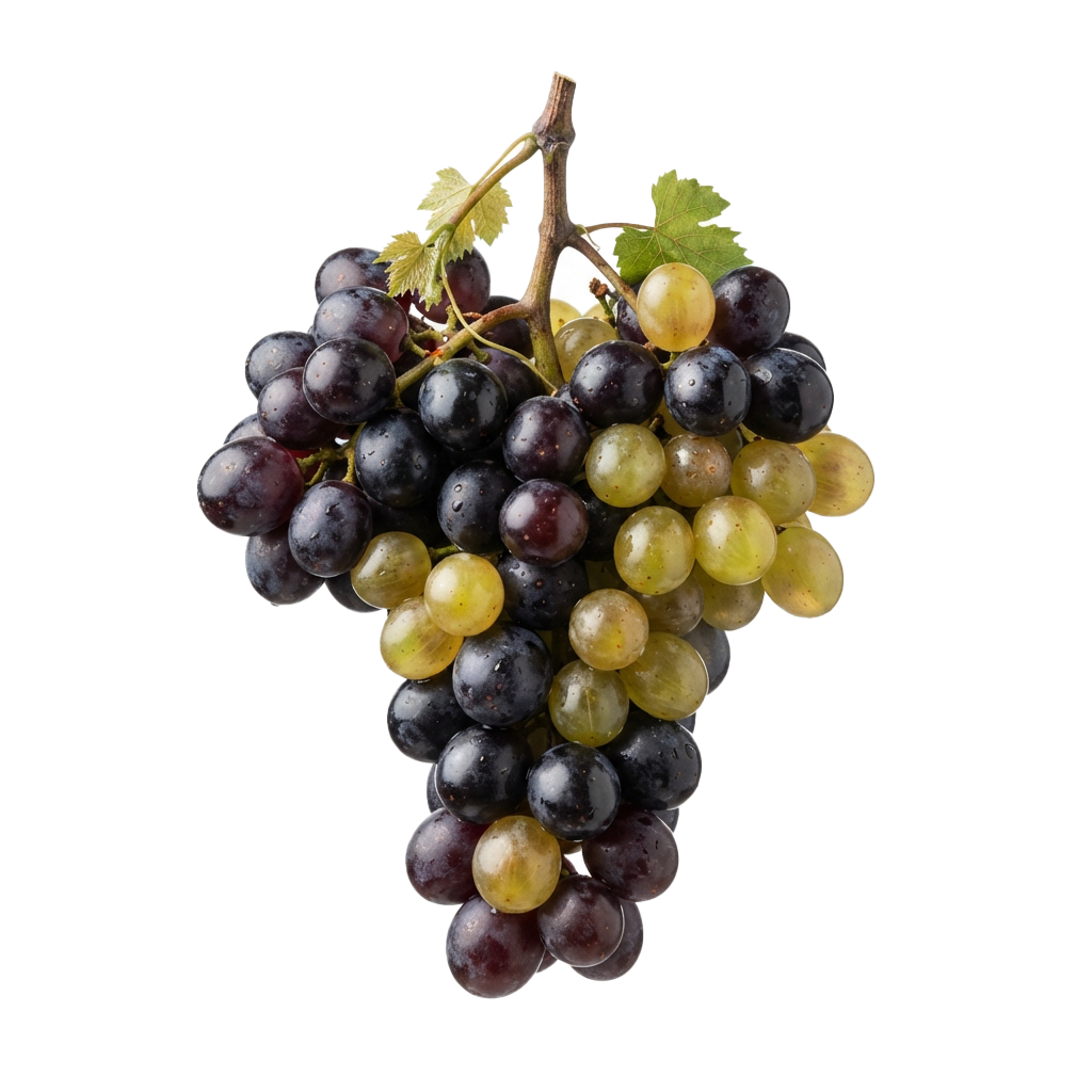 Cluster of mixed purple and green grapes attached to a vine stem with leaves