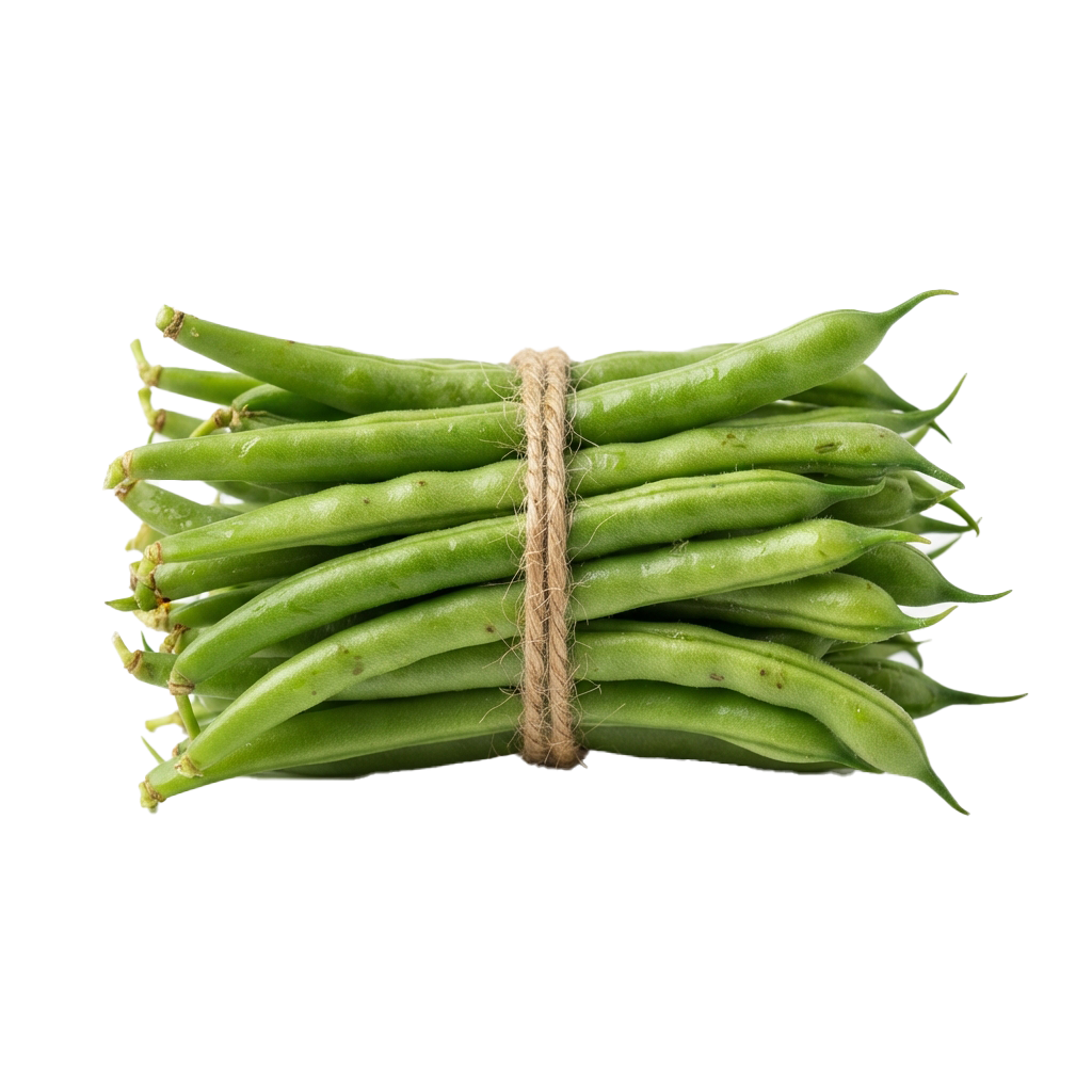 A bundle of fresh green string beans tied together with natural twine.