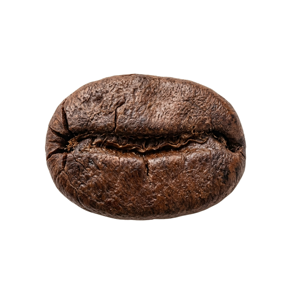 A close-up image of a single roasted coffee bean with a wrinkled, dark brown surface