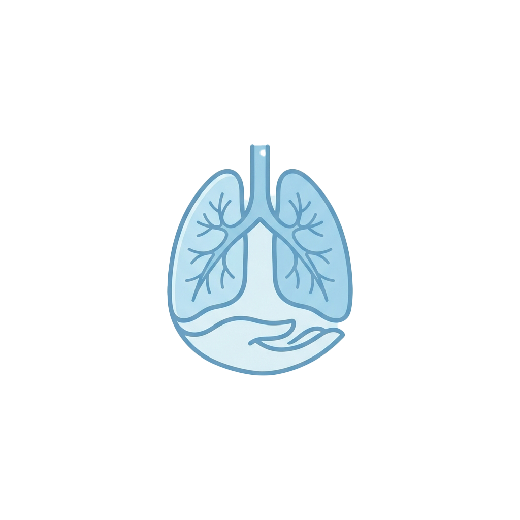 Illustration of human lungs showing bronchial tree branching inside each lung