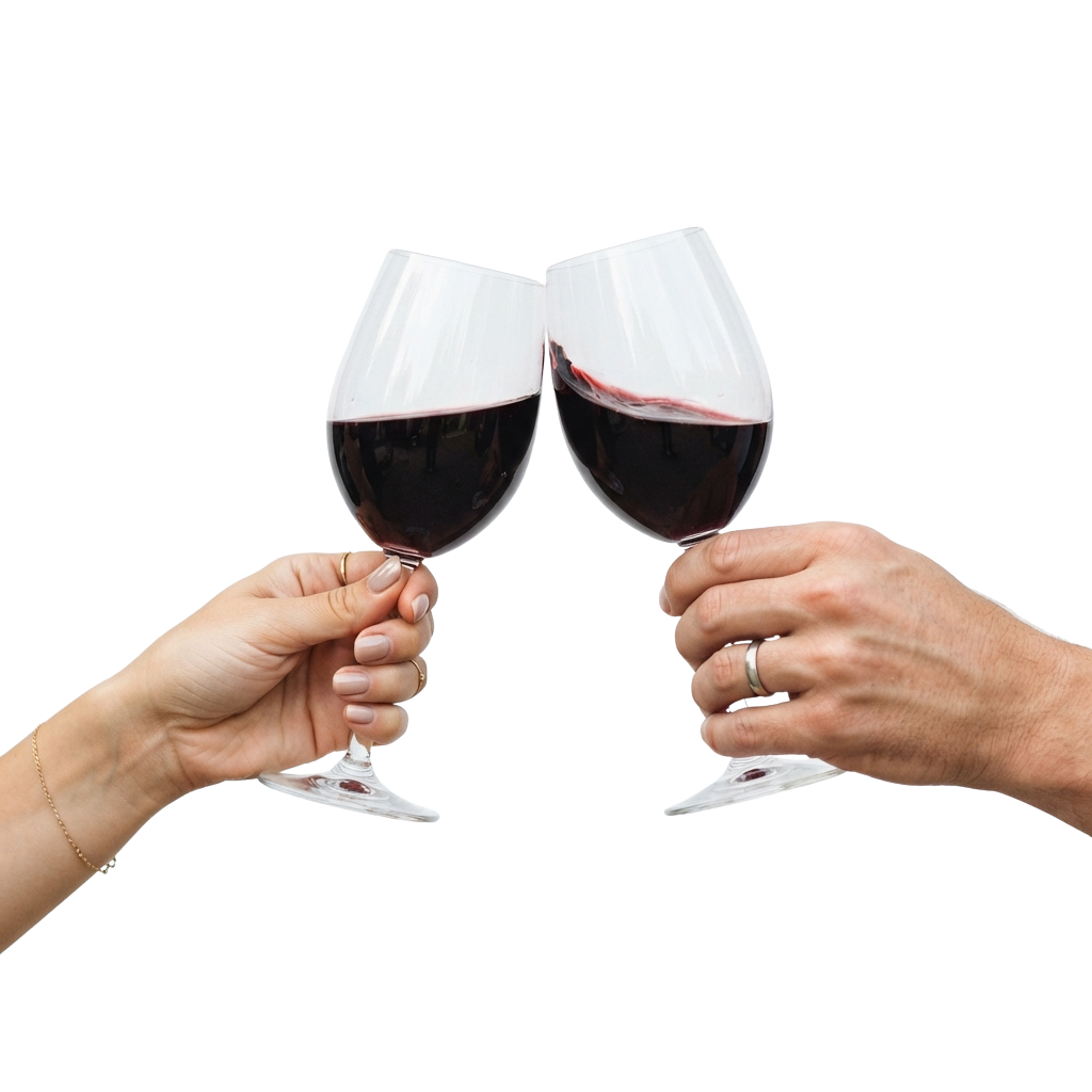 Two people clinking wine glasses in a toast gesture
