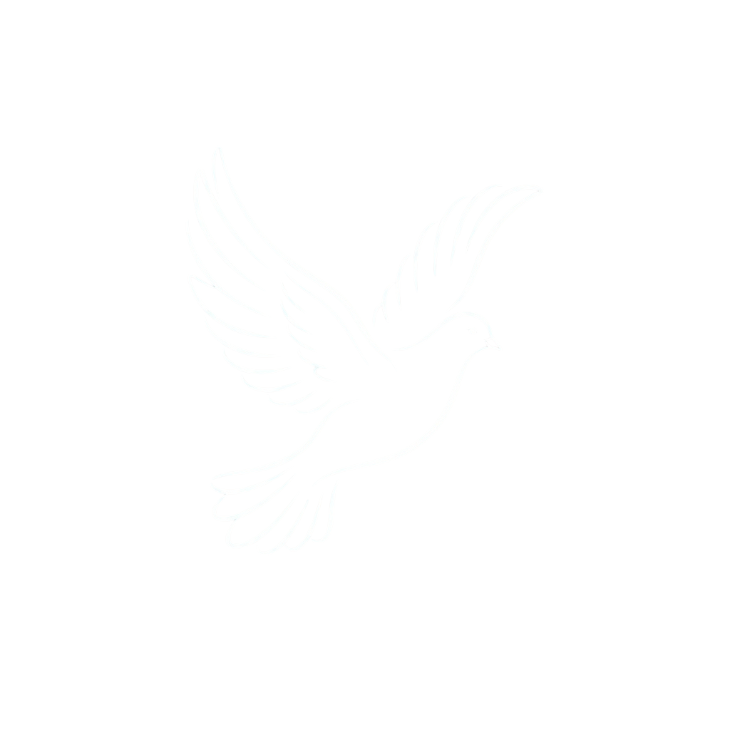 A white dove in mid-flight against a black background, symbolizing peace