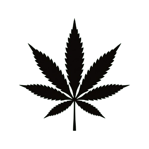 A detailed outline of a cannabis leaf in a dotted line style on a black background
