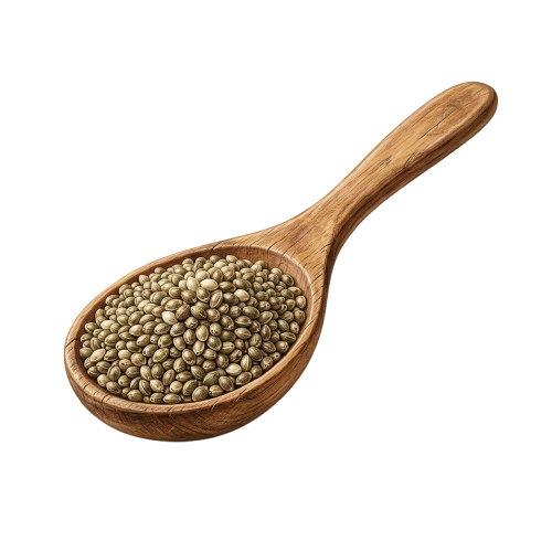A wooden spoon filled with small hemp seeds against a black background