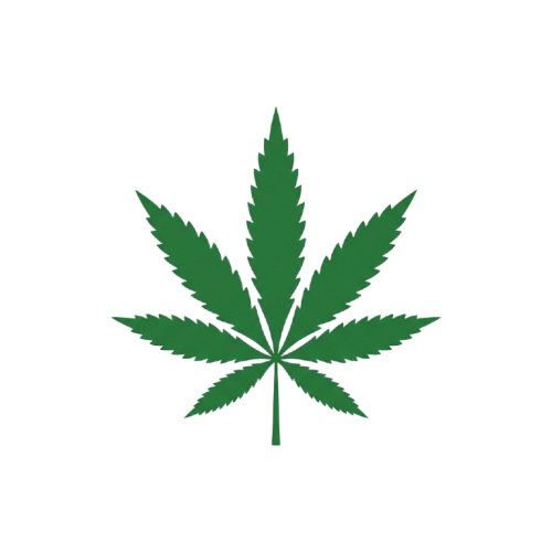 A detailed green cannabis leaf on a black background