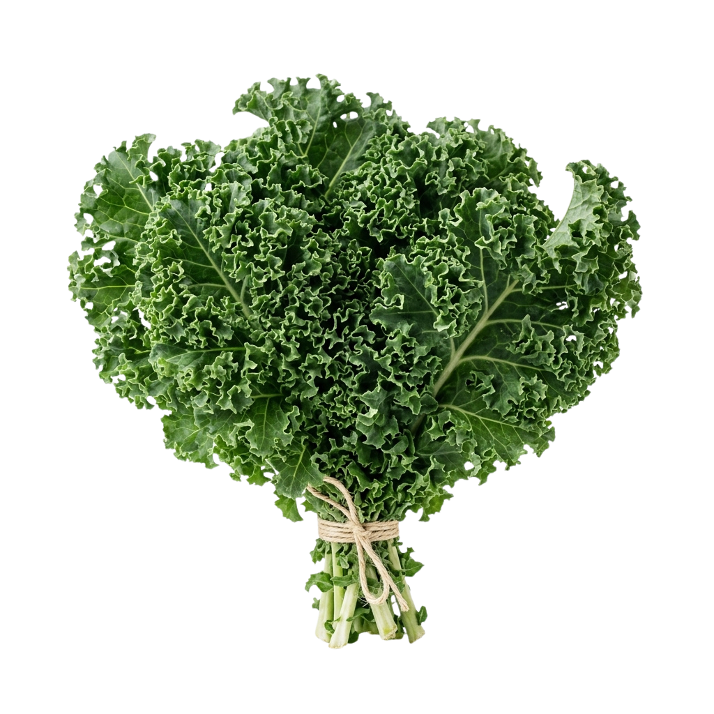 A heart-shaped bundle of fresh curly kale leaves tied with twine.