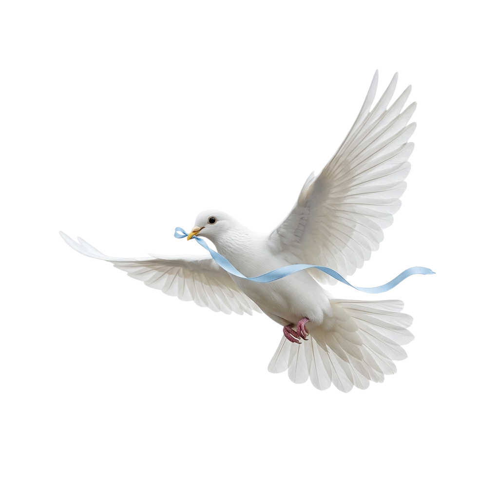 A white dove in flight holding a blue ribbon in its beak against a black background