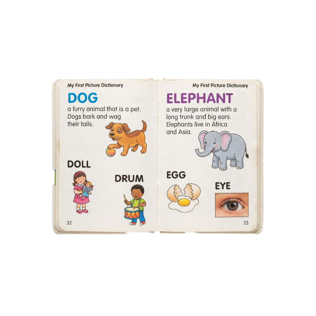Children's educational flashcards with images and text for dog, elephant, doll, drum, egg, and eye