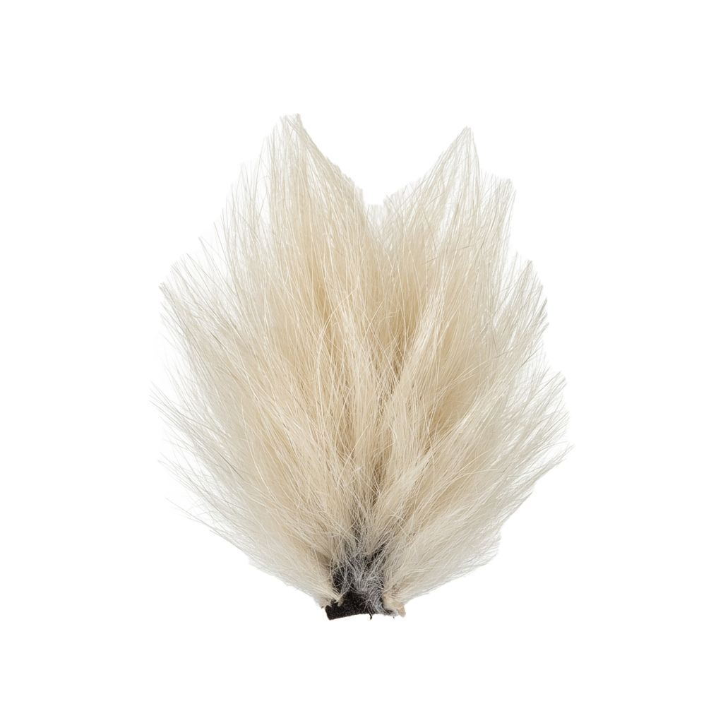 A close-up image of a single white feather with a soft, fluffy texture