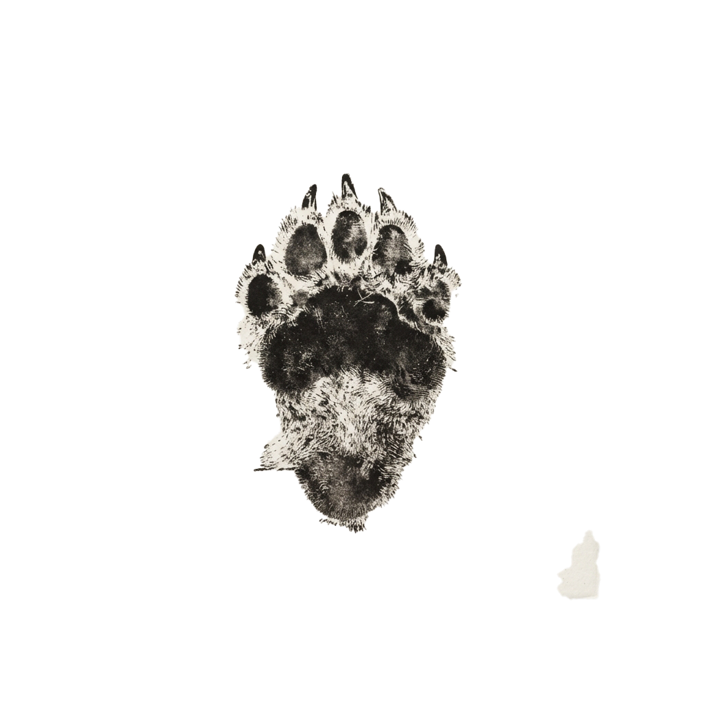 A black and white cat paw print with fur details and a small paw silhouette beside it