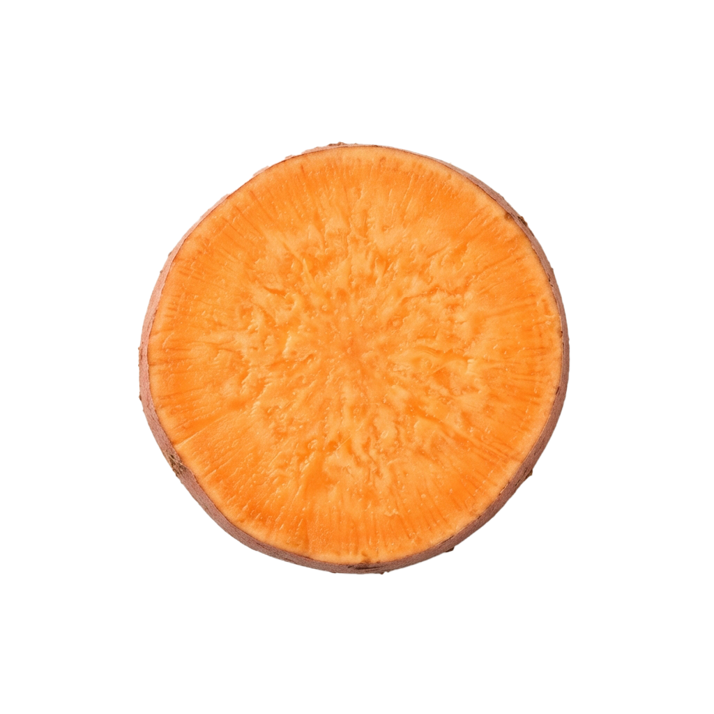 Cross-section of a bright orange vegetable showing fibrous texture and central core