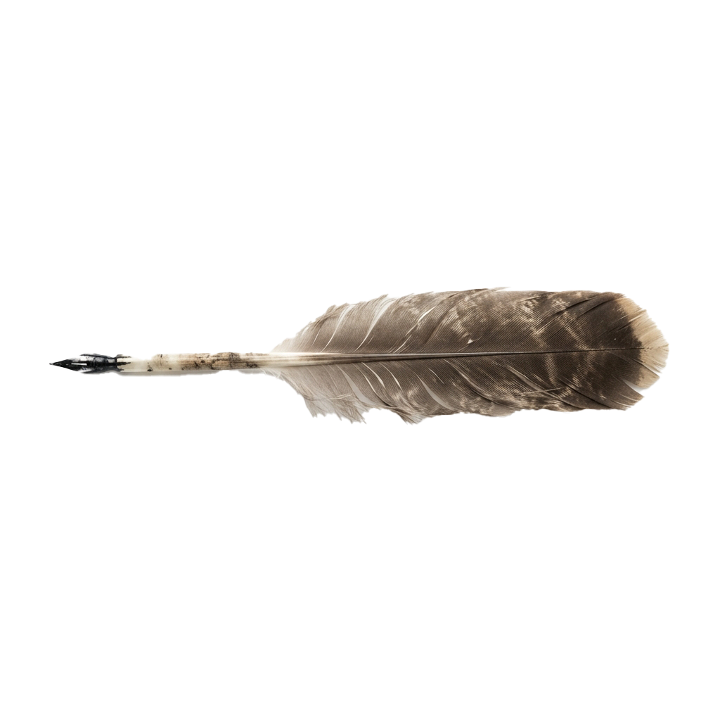 A single light brown feather with a pointed tip against a black background