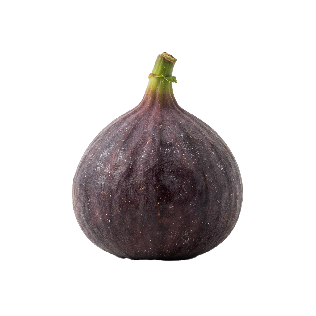 Close-up image of a single purple fig with a green stem against a black background