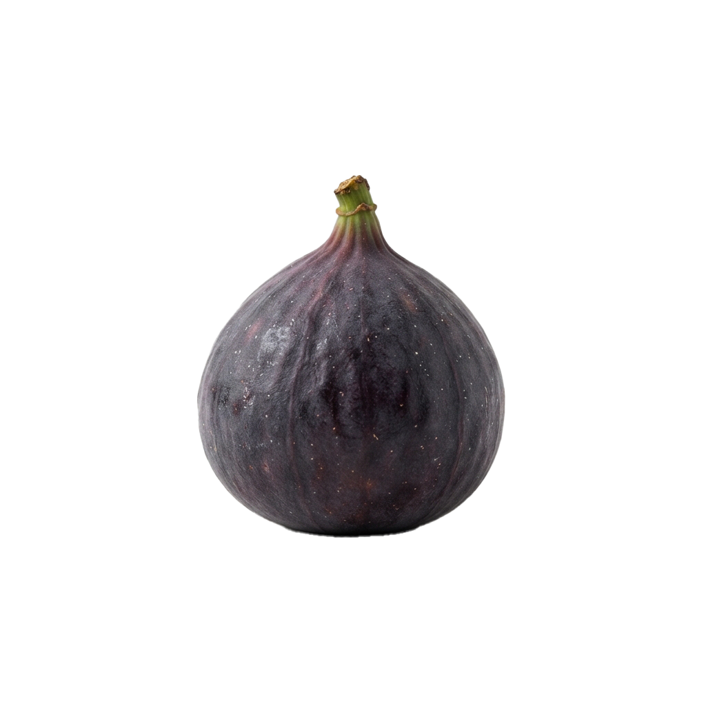 A single ripe purple fig with a green stem against a black background
